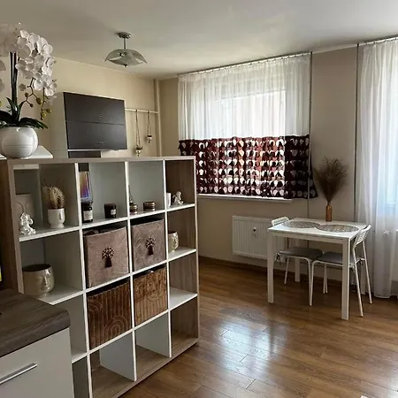 Apartament 1 Kambario Butas Klaipedoje Kłajpeda