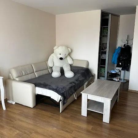 Apartament 1 Kambario Butas Klaipedoje